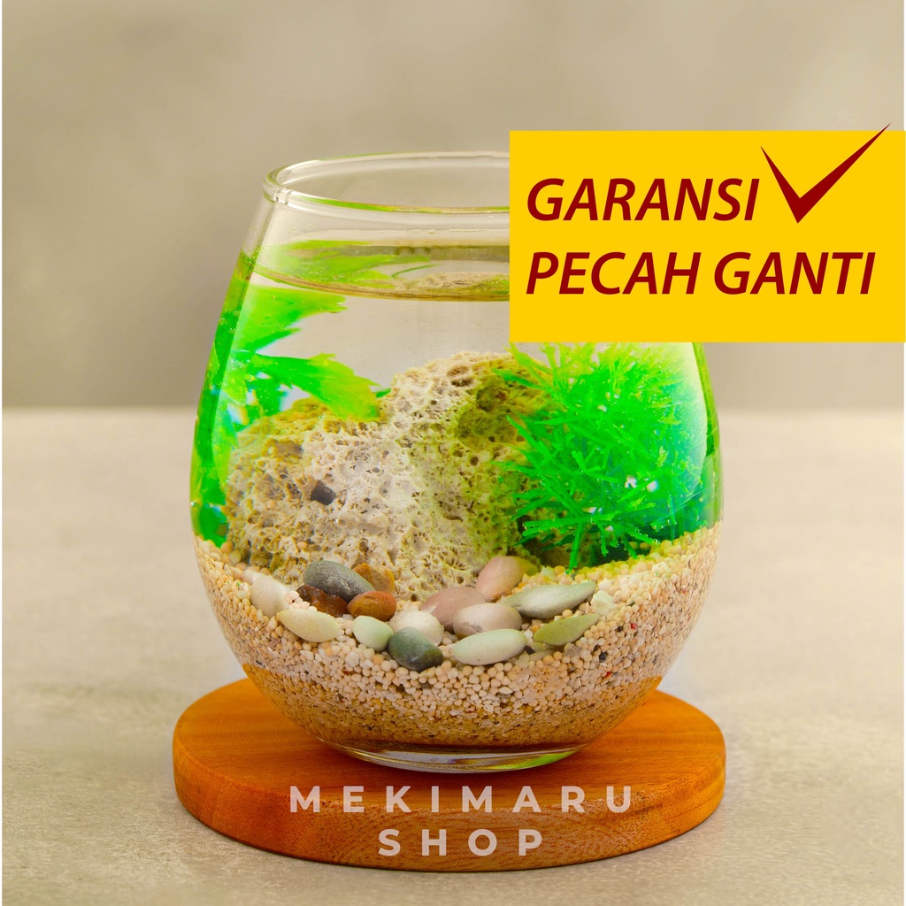 Aquarium Ikan Cupang Mini Ukuran 475ml Akuarium Kecil Kaca Hias Bulat