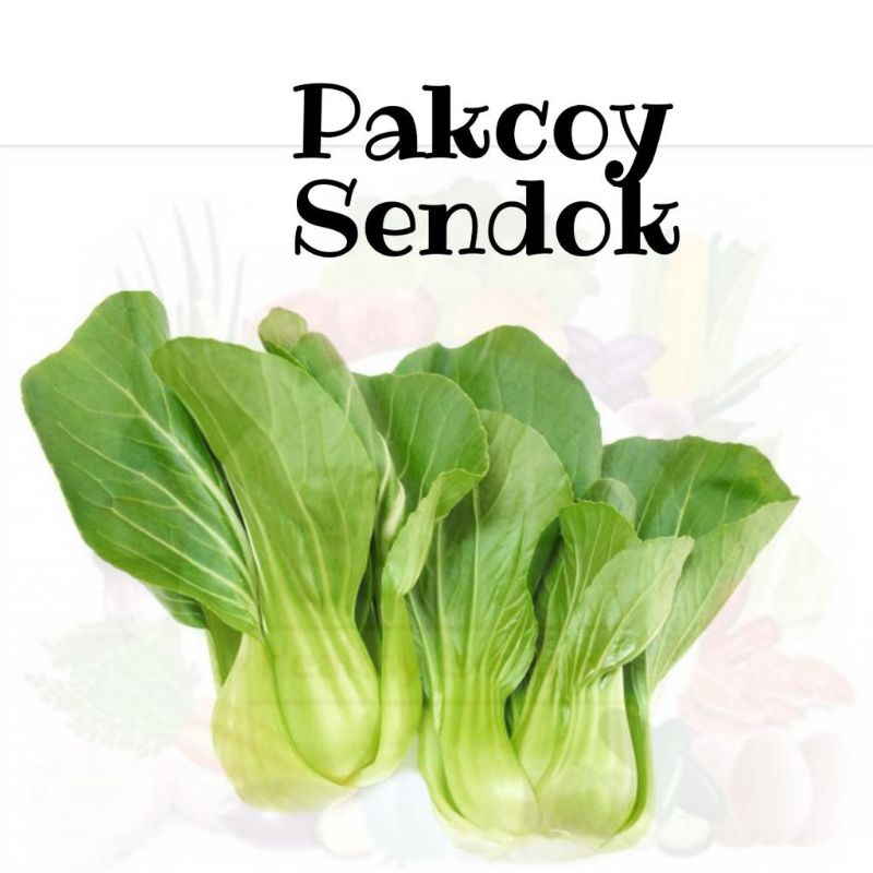

Pakcoy Sendok Pack