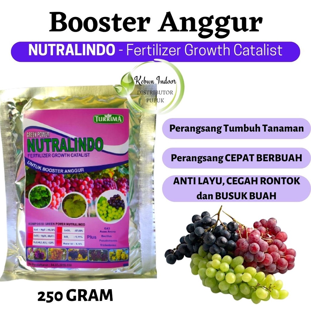 Pupuk Organik Booster Anggur, Perangsang Buah Anggur Ampuh, Pupuk Anggur Cepat Berbuah