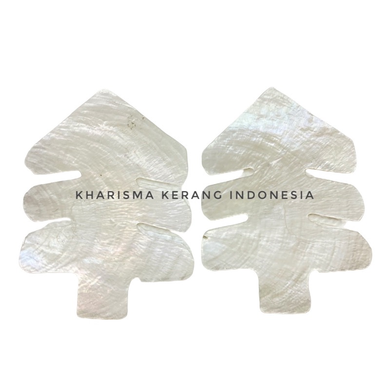 

CAPIZ SHELL PINE SHAPE KERANG SIMPING KULIT KERANG CAPIZ CAPIZ SHELLS KULIT KERANG CAPIZ SIMPING