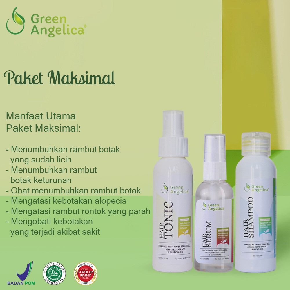 Green Angelica Paket Maximal Penumbuh Rambut Alami Obat Botak Cepat