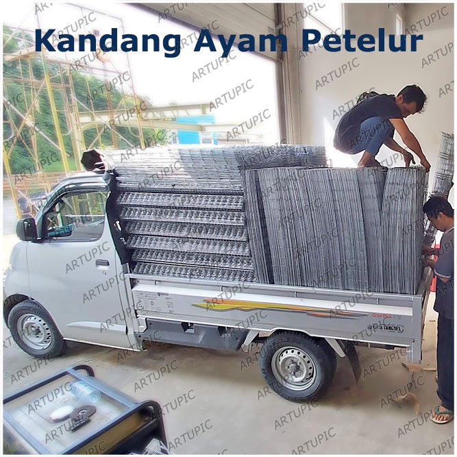 KANDANG AYAM KECIL DOC PULLET BATERAI KAWAT GALVANISE KANDANG ANAK AYAM 100x50x40cm 2 pintu