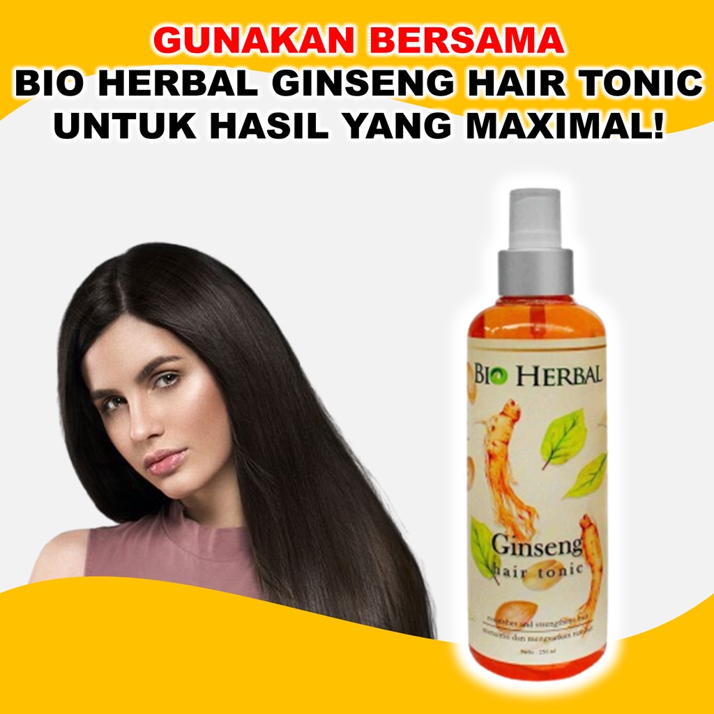 Shampo Rontok Parah Dan Ketombe Penumbuh Rambut Ginseng Paling Ampuh BPOM 250 ml B1P