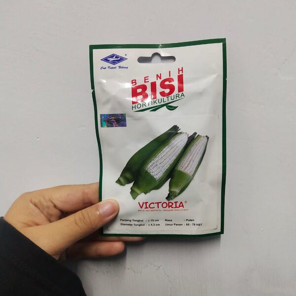 Benih Bibit Jagung Manis Pulut Ketan Putih Victoria F1 50 Biji BISI