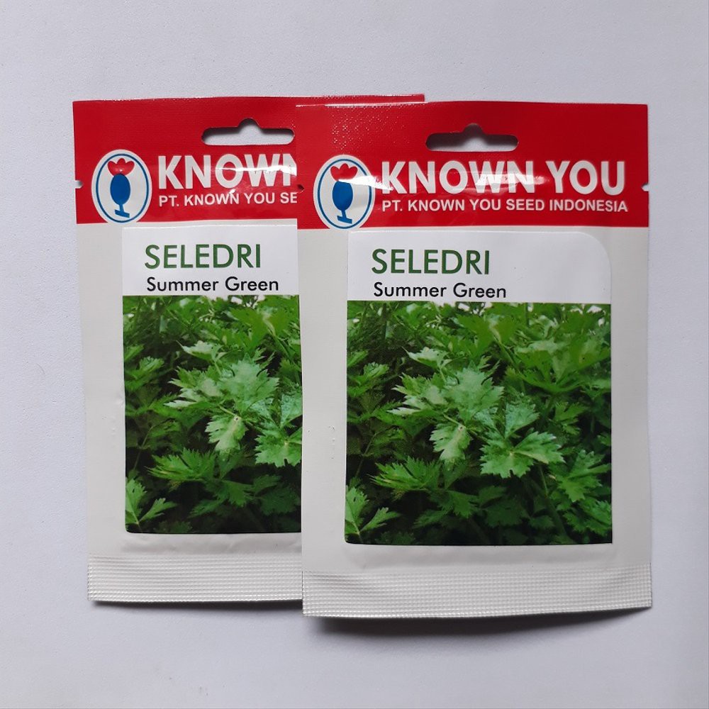 Benih Bibit Seledri SUMMER GREEN Berkualitas
