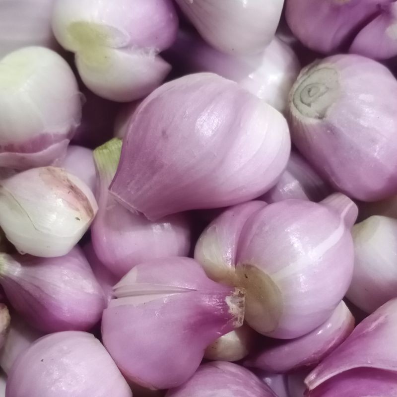 Bawang Merah Brebes Kupas Segar 1kg