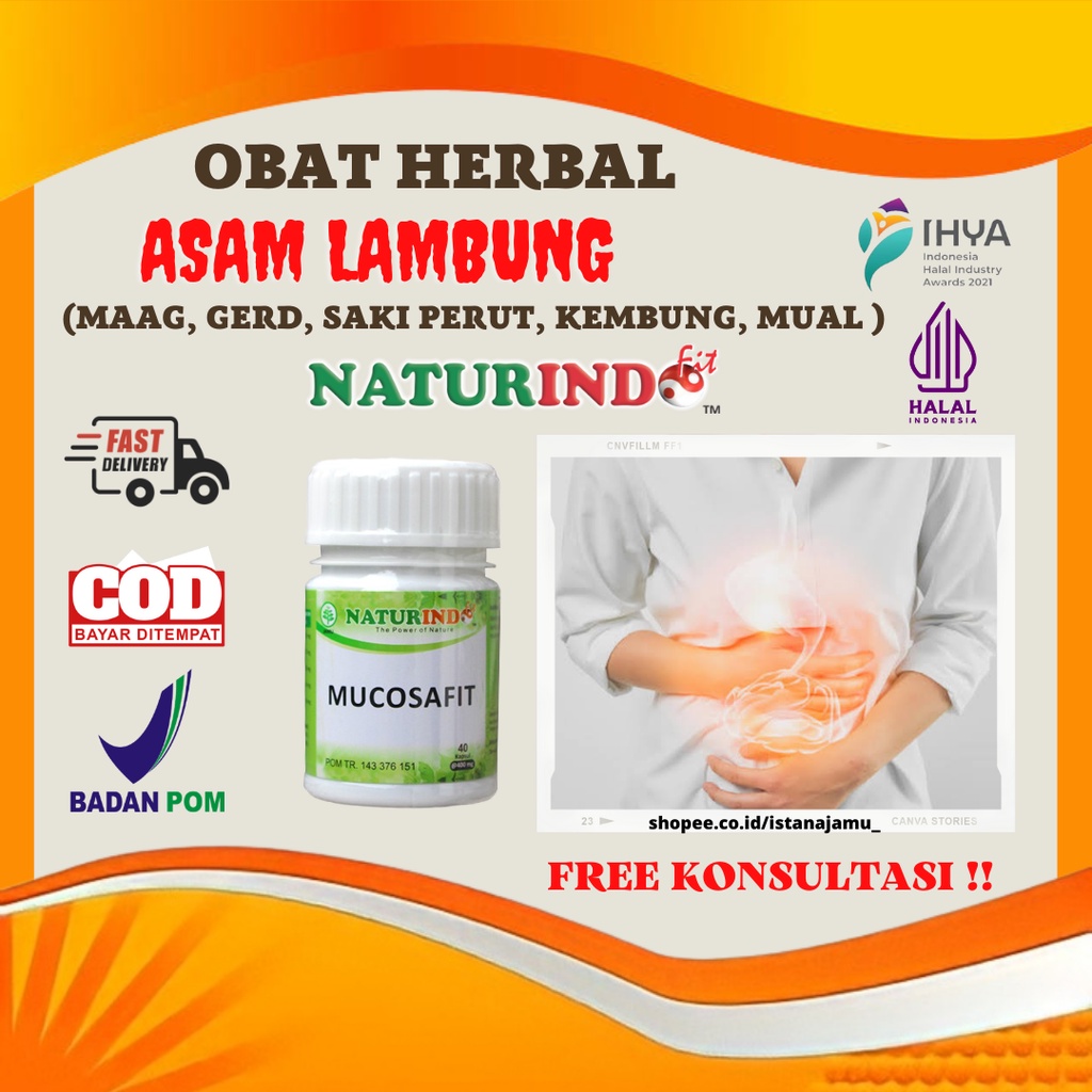 Jual Obat Maag Asam Lambung Pencernaan Maag Kronis Nyeri Pada Lambung ...