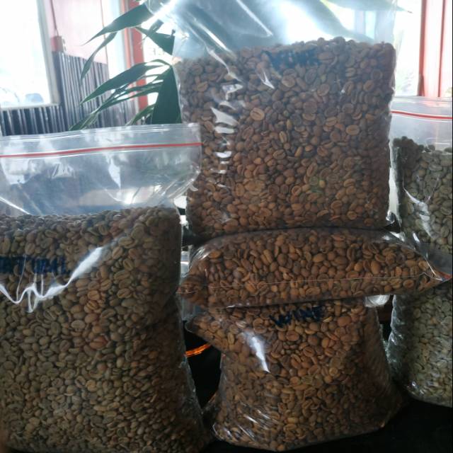 

kopi arabica gayo