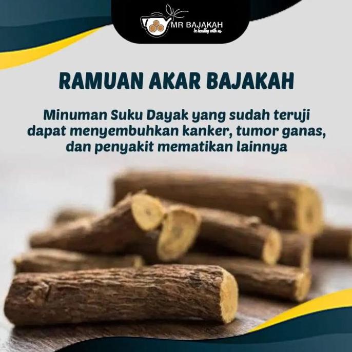 

Teh Bajakah Asli Kalimantan / Akar Bajakah / Kayu Bajakah Original Ori (Bisa Cod)