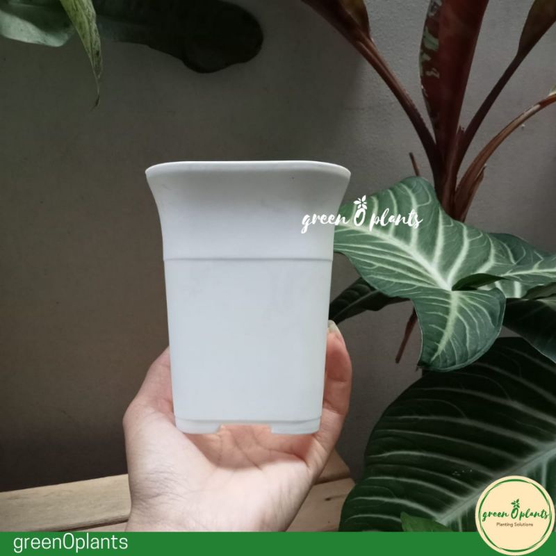 Pot Bunga Tanaman Plastik NKT Kotak 8 Putih