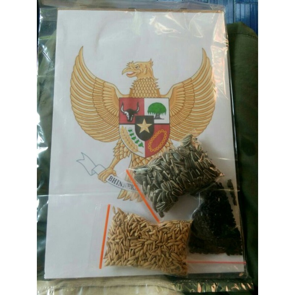 kolase biji bijian garuda tempel sendiri