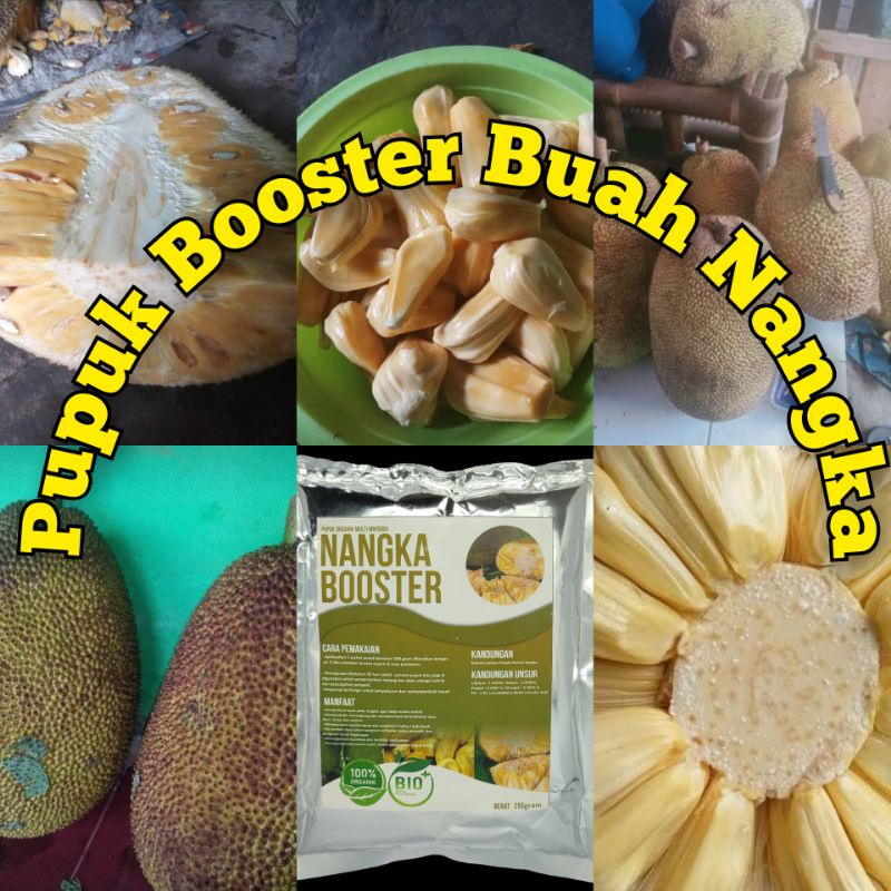 Pupuk booster buah NangkaMurah Pupuk booster buah organik non kimia pupuk cair kilat npk urea merah 