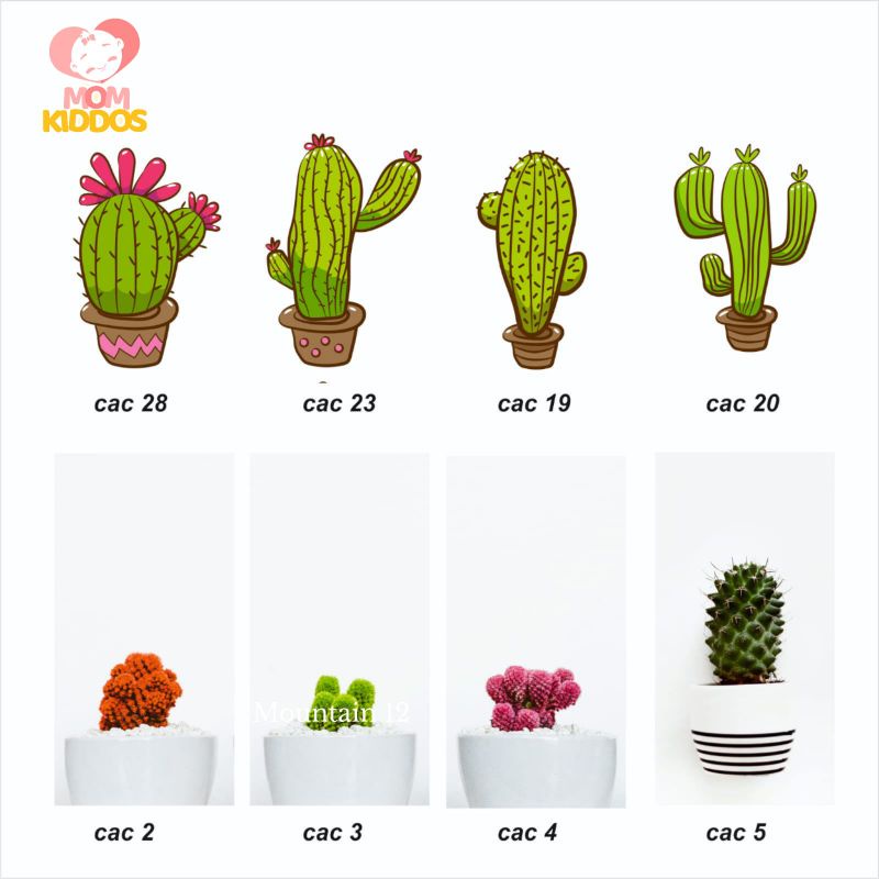 HIASAN DINDING KAKTUS PAJANGAN DINDING WALLDECOR CACTUS HIASAN BOTANICAL TANAMAN KAKTUS PART. 2