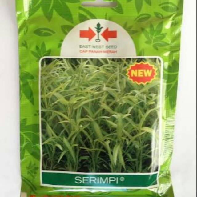 Benih kangkung serimpi