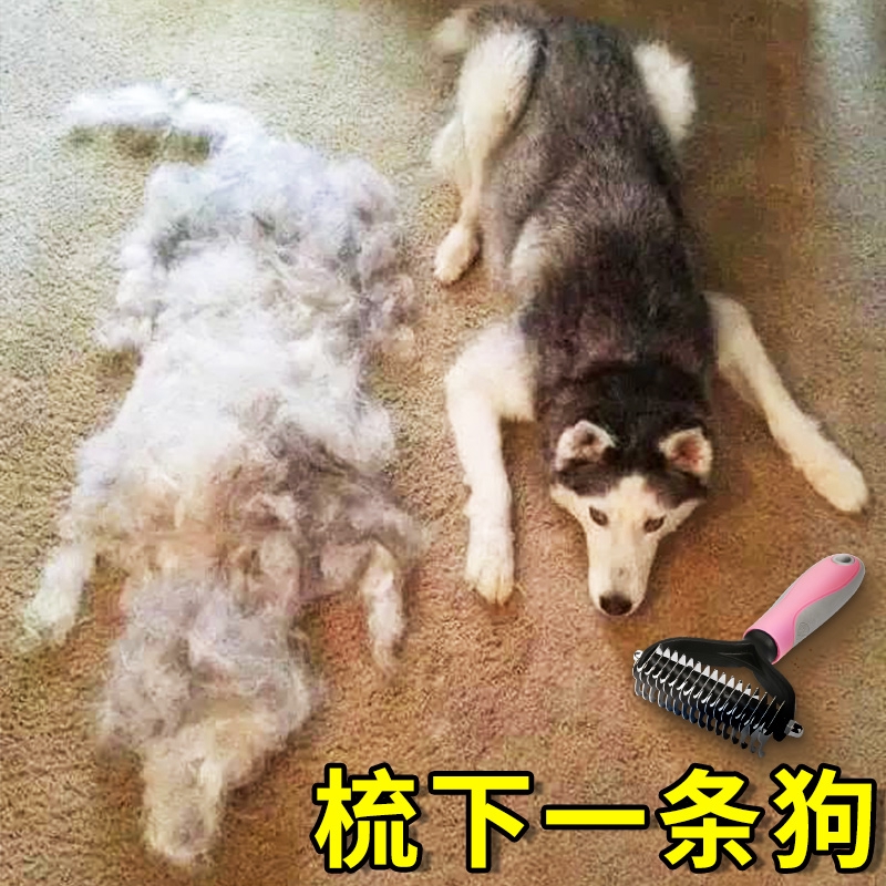 Sisir Bulu Anjing Ukuran Kecil Sedang Besar Shopee Indonesia