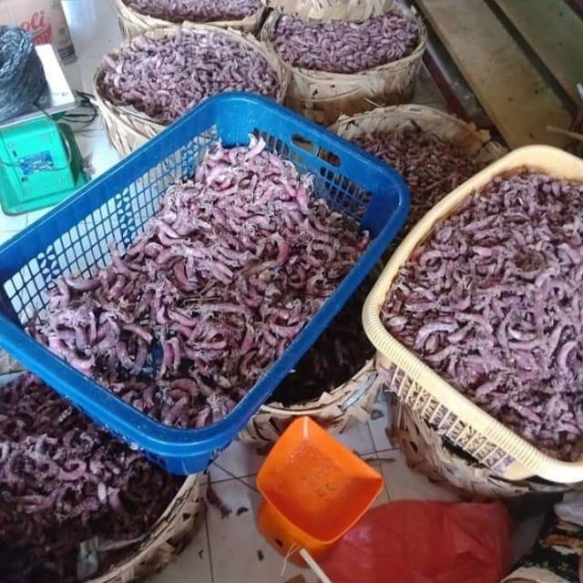 

Baby Cumi Asin (Sotong) 1 kg