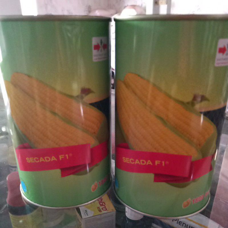 [Bisa COD] Jagung Manis SECADA F1 kemasan Reguler isi 1800 biji / seed CAP PANAH MERAH SCADA F1