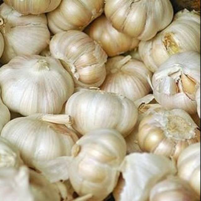 

Bawang putih