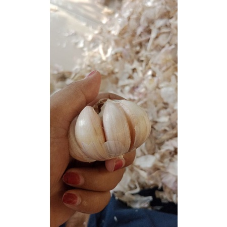 

Bawang Putih Super Siap Kirim