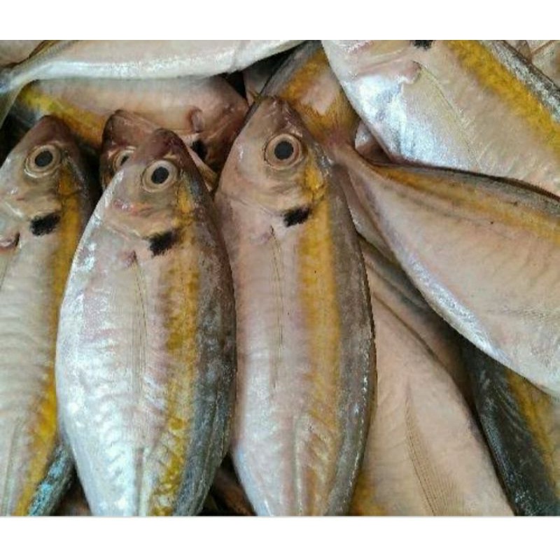 

ikan selar