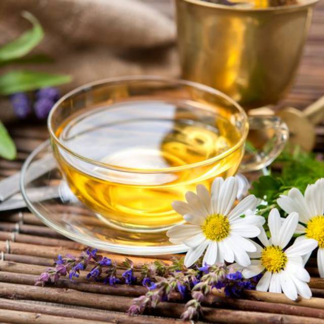 

Herbal asam lambung dan maag