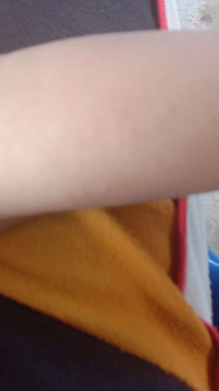 Parutan Serbaguna/ Parutan Wortel/ Parutan Kentang