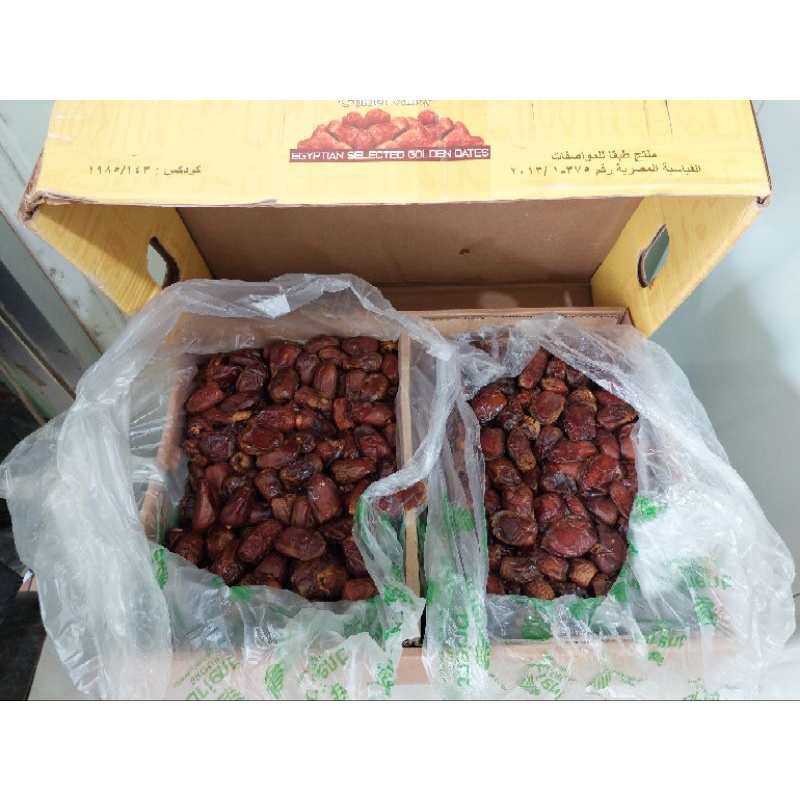 

kurma golden orient 10kg termurah