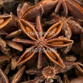 

Bunga Lawang Pekak Star Anise 1kg