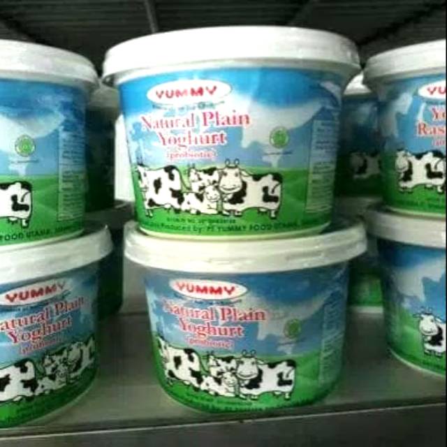 Yogurt Plain Yummy 500g
