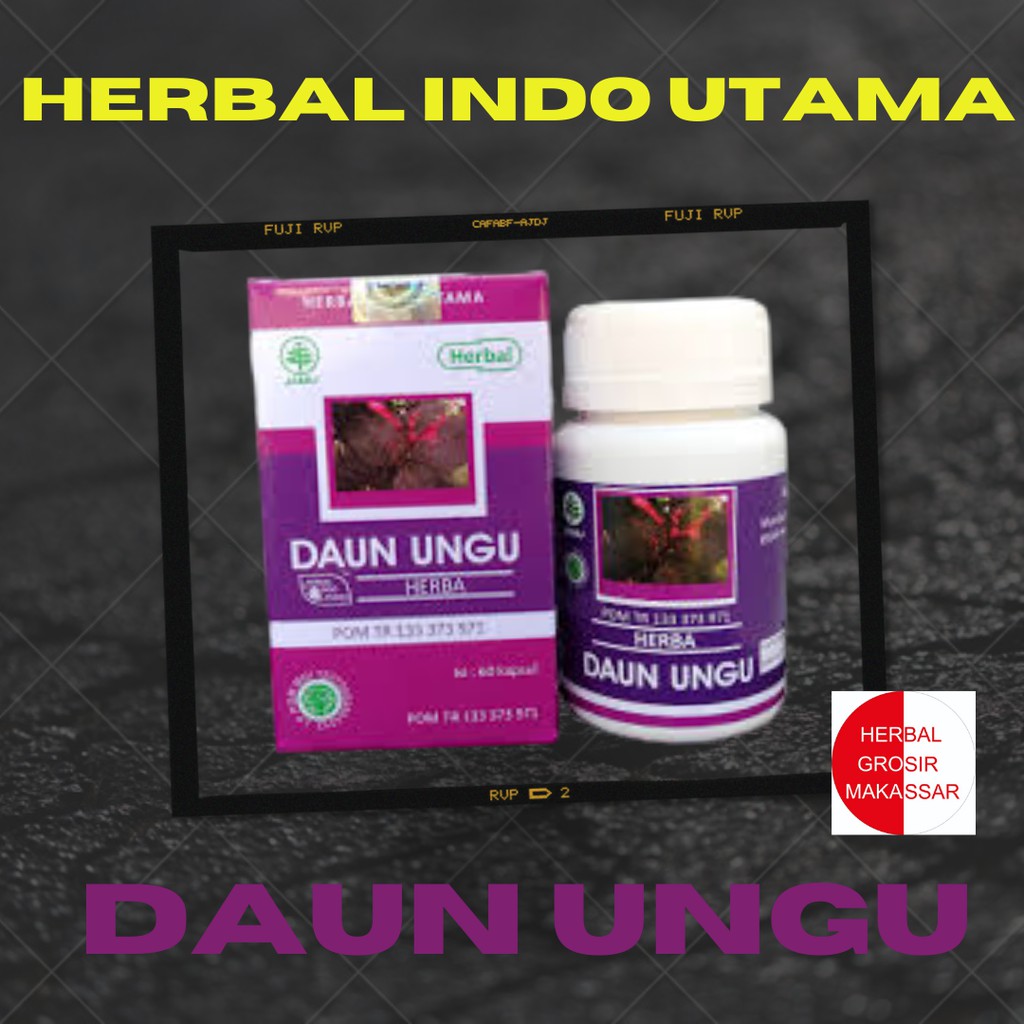 Daun Ungu Obat Wasir Daun Ungu Herbal Indo Utama Untuk Wasir Ambexa Ambeien Jual Di Makassar Shopee Indonesia