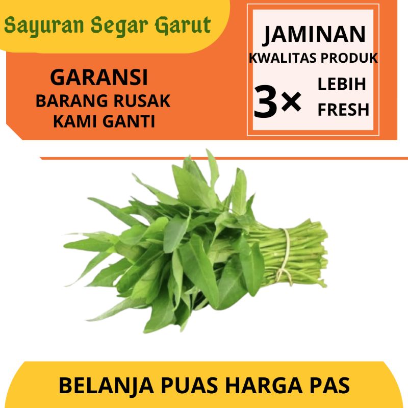 

Kangkung Air Sayur Hijau By Sayuran Segar Garut per 1 ikat