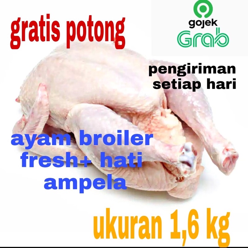 

ayam potong/ayam segar/ayambroiler