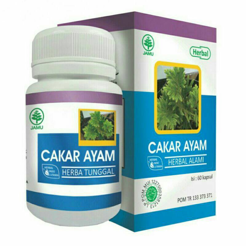 HIU Cakar Ayam Herbal Hepatitis dan Radang Empedu