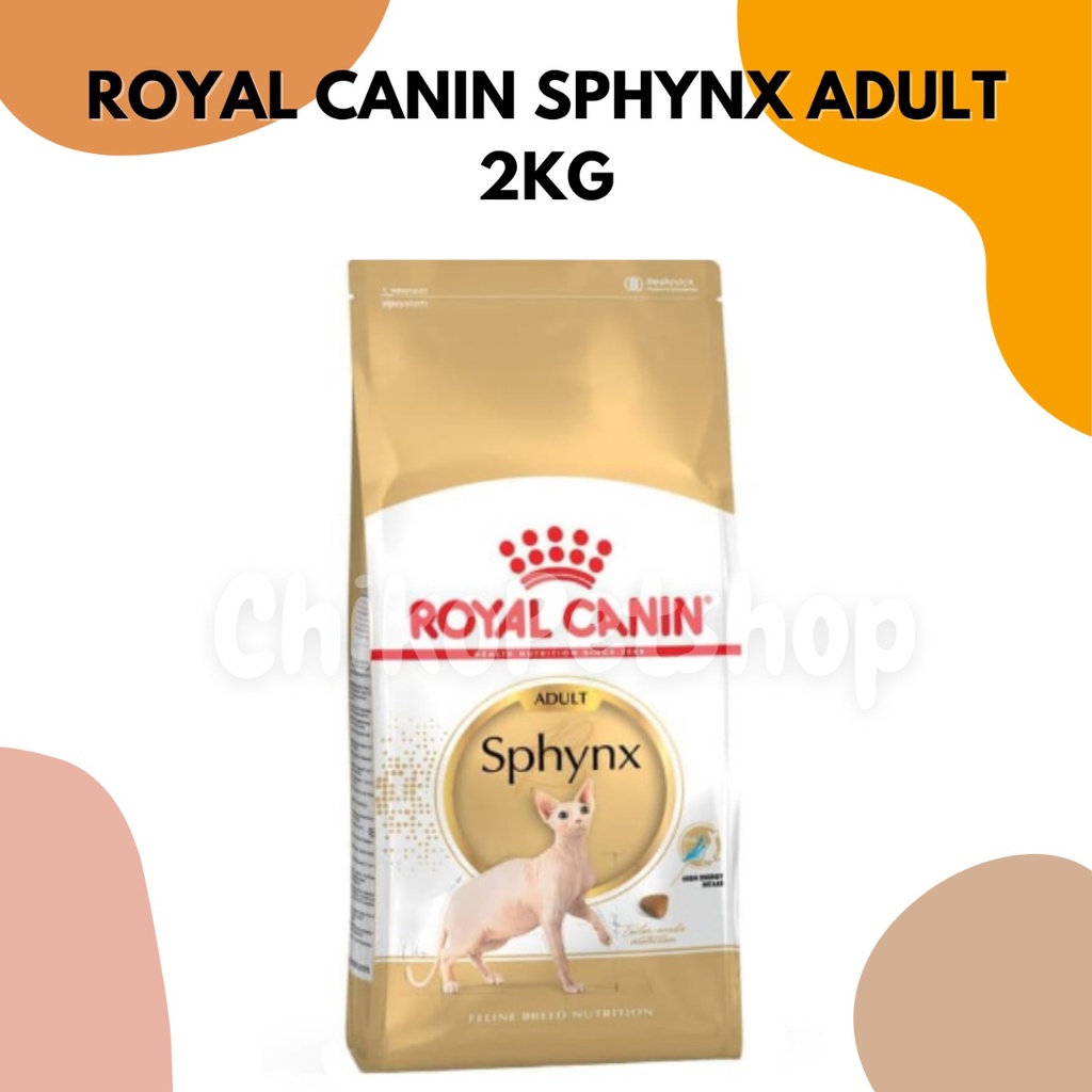 RC Royal Canin Sphynx adult 2 kg freshpack | Royal canin Sphinx