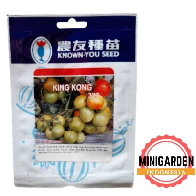 TOMAT KING KONG 20GRAM PACK BESAR benih biji tomat kingkong hibrida tomato f1 unggul known you seed