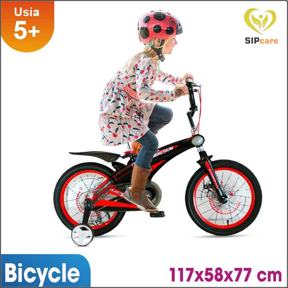 GOWES SEPEDA ANAK SEPEDA ANAK LAKI LAKI SEPEDA ANAK PEREMPUAN SEPEDA ANAK RODA 4 SEPEDA ANAK MURAH