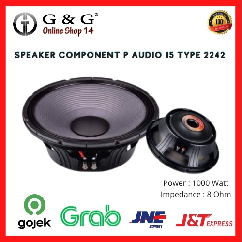 SPEAKER COMPONENT P AUDIO 15 TYPE 2242 PRO ORIGINAL NEW