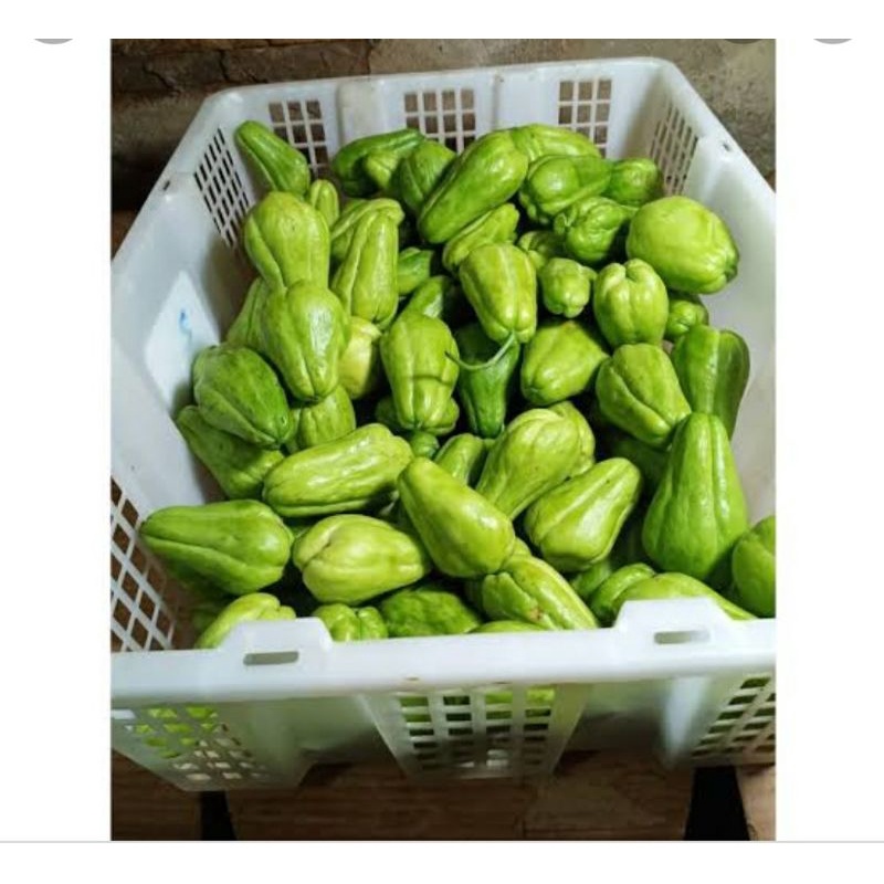 

labu lalap/500grm