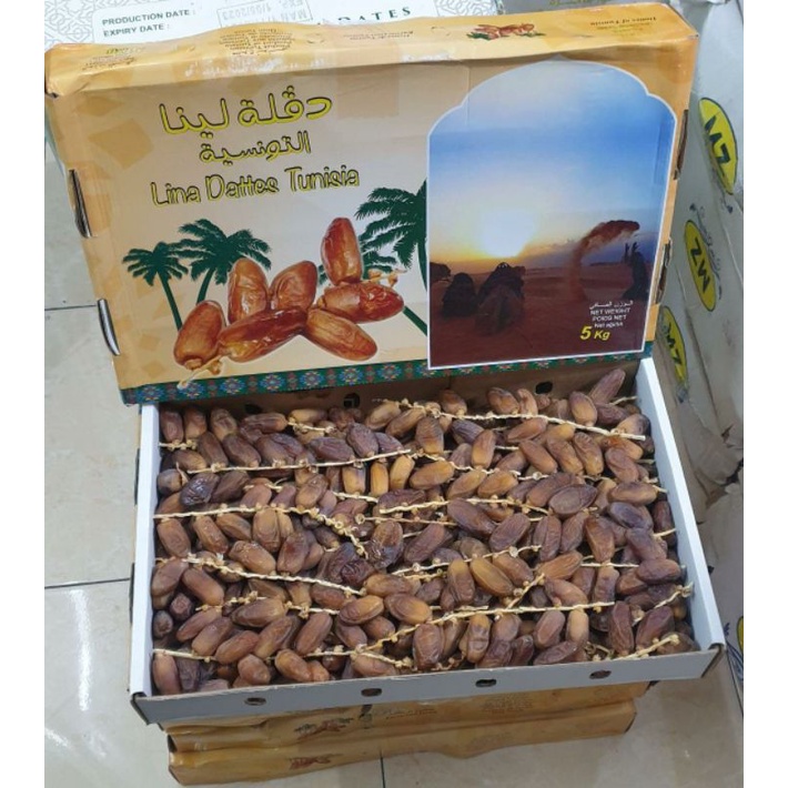 

Kurma Tunisia Deglet Nour masih bertangkai