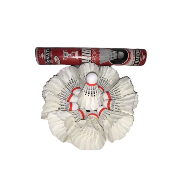 Kok badminton ( kok bulutangkis )