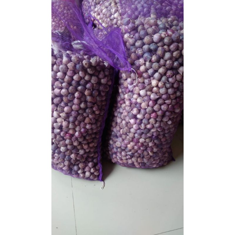

BawangPutihTunggalJumbo15rb/250gr