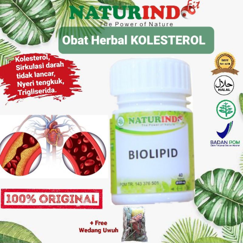 Naturindo Obat Herbal BIOLIPID Kolesterol Kebas Kesemutan