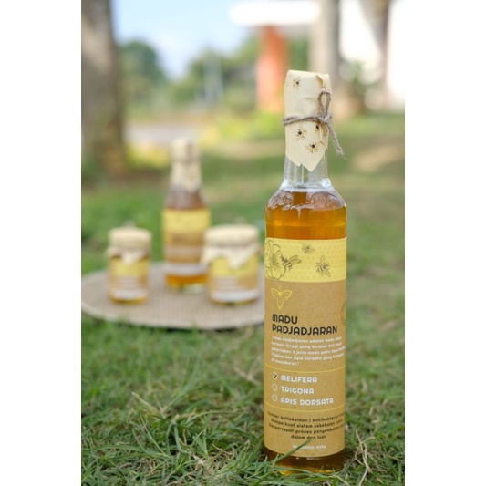 

Madu Asli Murni Madu Ternak/ Apis Melifera 600gram