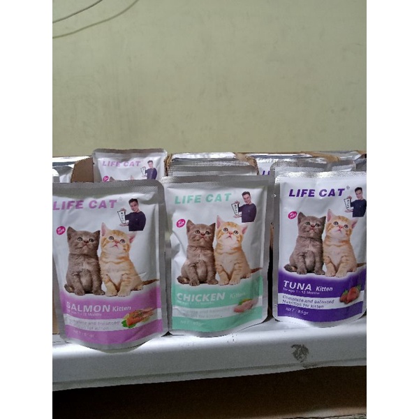 makanan saset untuk bayi kucing murah life cat