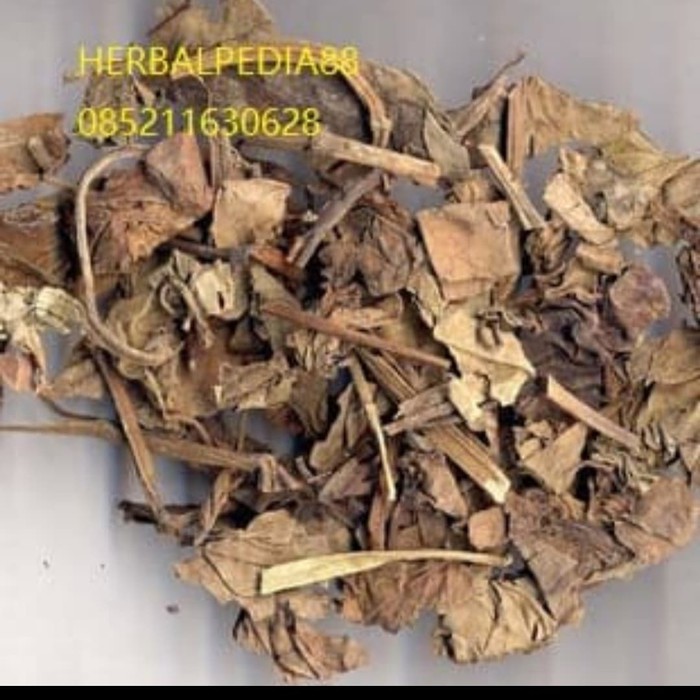 

Yu Xing Cao 鱼腥草(Heartleaf Houttuynia Herb) 250 gram