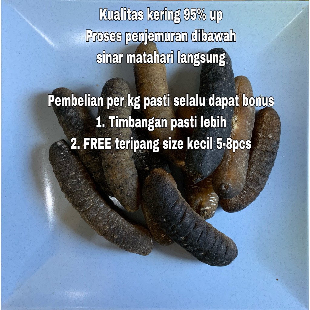 TERIPANG GOSOK ISI 30-39 PCS / KG HARGA PROMO HAISOM HAISIM TERIPANG KERING