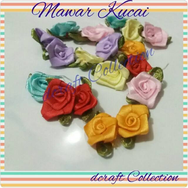 Mawar Kucai mix warna