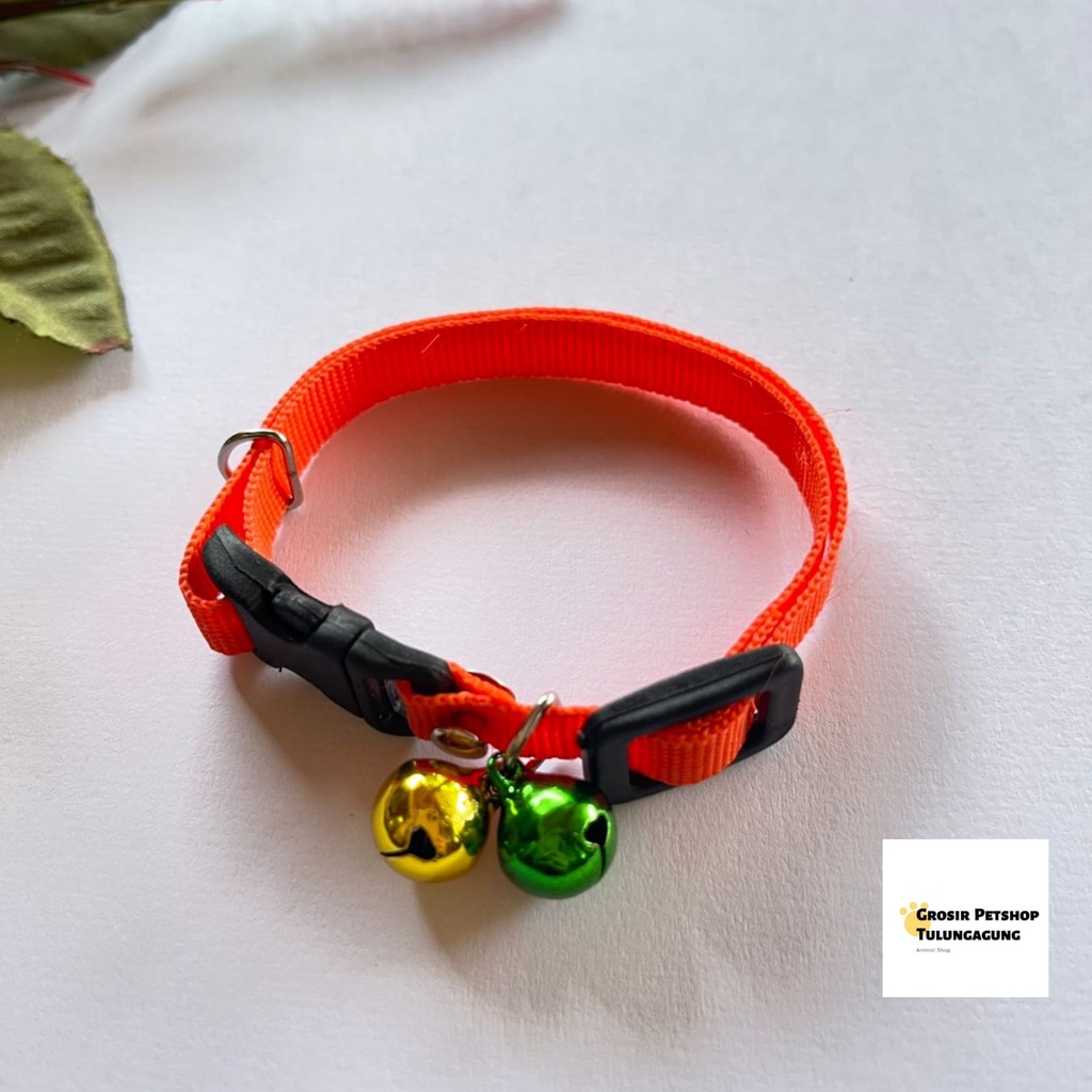 Kalung kucing 2 lonceng Polos 10ml bahan tebal