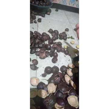 

KULIT JENGKOL OBAT HERBAL 1kg
