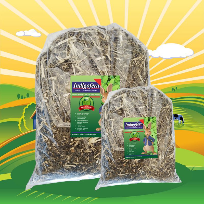 INDIGOFERA 1 KG - HAY TERMURAH Camilan Kelinci Snack Kelinci Makanan Kelinci Rumput Hay Indigofera 1 KG MURAH